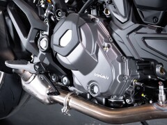 Ducati DUCATI MONSTER 30° ANNIVERSARIO 