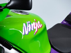 Kawasaki ZX-7RR 
